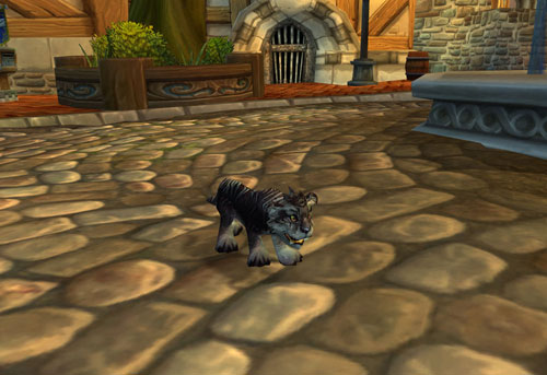 WOW LOOT nachtsäblerjunges-Nightsaber CUB Animale Pet World of Warcraft 